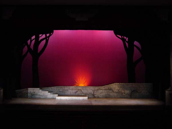 Into the Woods